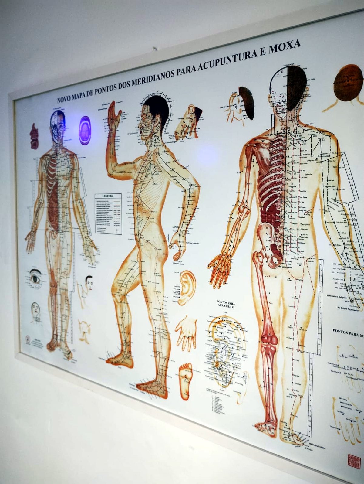 Mapa de meridianos de acupuntura na parede da clínica